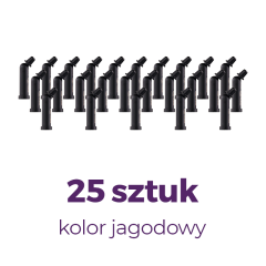 Twinky_Star_0,25_jagodowy_x_25_sztuk.jpg